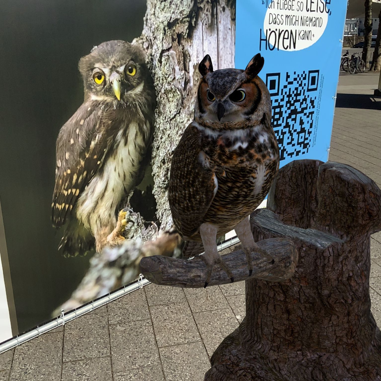 Augmented Reality Eule Witten